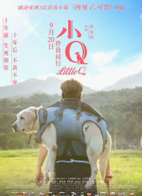 国产aⅴ爽av久久久久成人